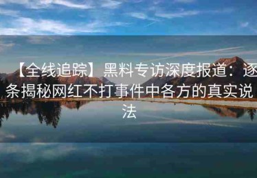 【全线追踪】黑料专访深度报道：逐条揭秘网红不打事件中各方的真实说法