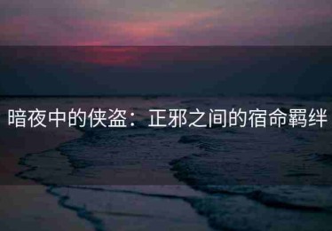 暗夜中的侠盗：正邪之间的宿命羁绊