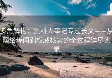 多角解构：黑料大事记专题长文——从网络传闻到权威核实的全过程详尽实录