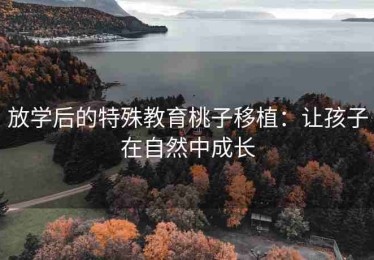 放学后的特殊教育桃子移植：让孩子在自然中成长