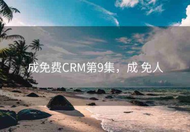 成免费CRM第9集，成 免人