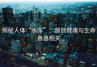 揭秘人体“水库”：膀胱健康与生命息息相关
