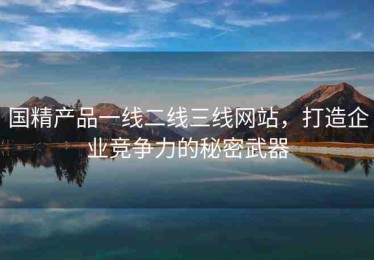 国精产品一线二线三线网站，打造企业竞争力的秘密武器