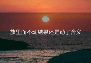 放里面不动结果还是动了含义
