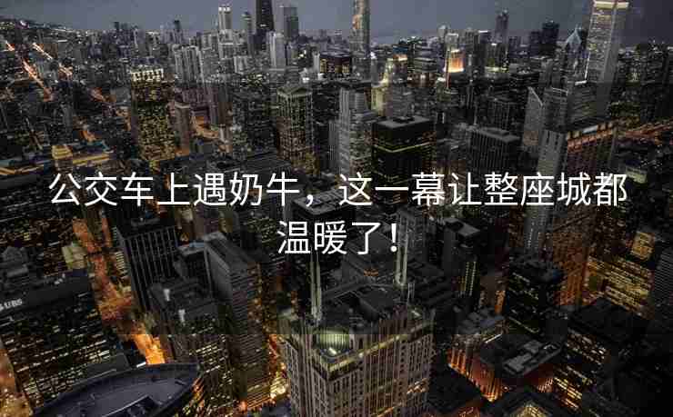 公交车上遇奶牛，这一幕让整座城都温暖了！