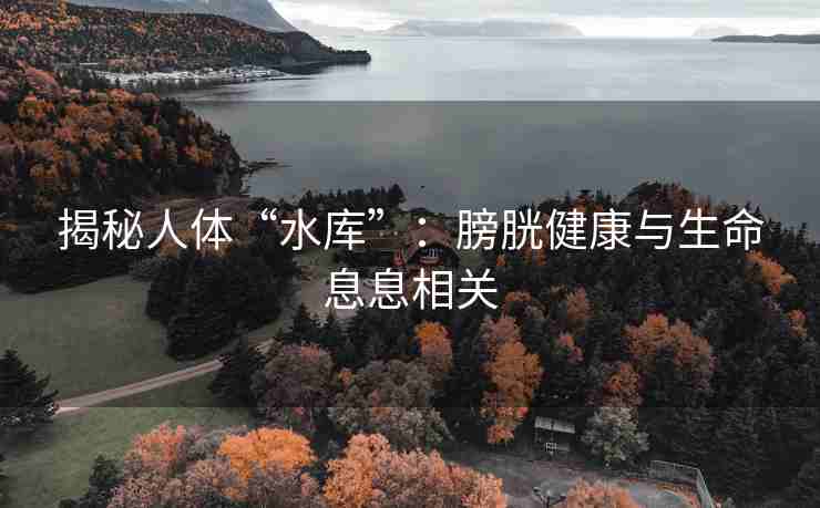 揭秘人体“水库”：膀胱健康与生命息息相关