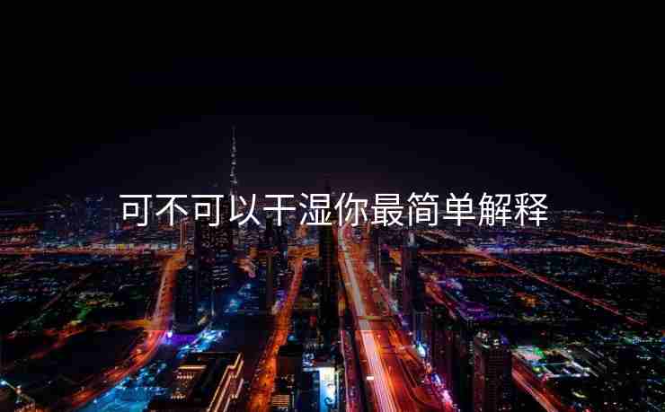 可不可以干湿你最简单解释